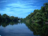 Amazzonia: siccità e surriscaldamento globale fanno ammalare il polmone verde del mondo