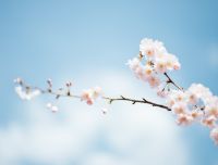 L'equinozio di primavera tra miti e leggende