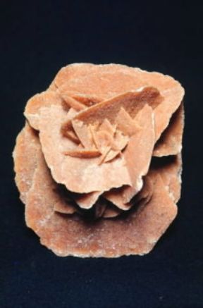 Aggregato cristallino. Campione di aggregato a rosetta, noto come rosa del deserto.De Agostini Picture Library/C. Bevilacqua