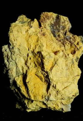 Carnotite. Un campione del minerale radioattivo.De Agostini Picture Library/C. Bevilacqua