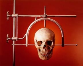 Antropometria. La misurazione dell'altezza del cranio.De Agostini Picture Library/A. Rizzi