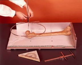 Antropometria. L'apparecchio per misurare l'angolo di torsione delle ossa lunghe.De Agostini Picture Library/A. Rizzi
