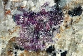 Eritrite. Un campione del minerale.De Agostini Picture Library/C. Bevilacqua