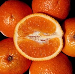 Arancio. Frutto in sezione dell'arancio (citrus aurantium).De Agostini Picture Library/2 P