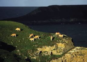 Galles. La costa rocciosa a Capo Worms, nella penisola di Gower.De Agostini Picture Library/G. Wright