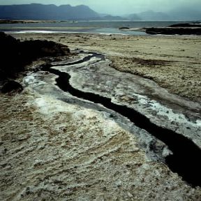 Assal. Veduta del lago con le formazioni saline.De Agostini Picture Library/P. Jaccod