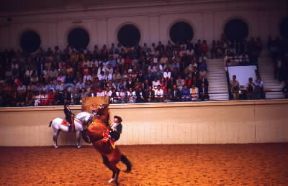Cavallerizzo durante la Fiera del cavallo a Jerez de la Frontera in Spagna.De Agostini Picture Library/S. Vannini