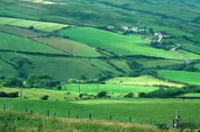 Irlanda . Campi coltivati sull'altopiano basaltico di Antrim, nell'Irlanda nord-orientale.De Agostini Picture Library/G. Nimatallah