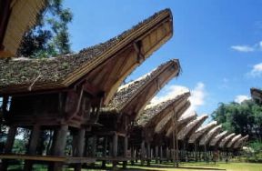 Asia. Villaggio Toraja in Indonesia.De Agostini Picture Library