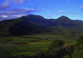 Hawaii. Veduta di campi irrigati nell'isola di Kauai.De Agostini Picture Library / G. SioÃ«n