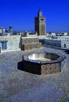 Tunisia. La terrazza del palazzo d'Oriente a Tunisi.De Agostini Picture Library/M. Bertinetti