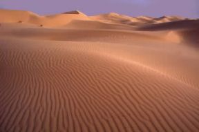 Sahara. Dune nella zona di El-Oued, in Algeria.De Agostini Picture Library / C. Sappa