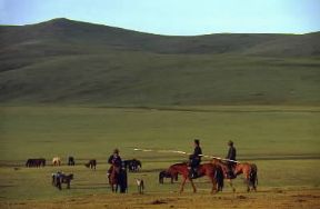 Mongolia. Allevatori di cavalli. De Agostini Picture Library / W. Buss