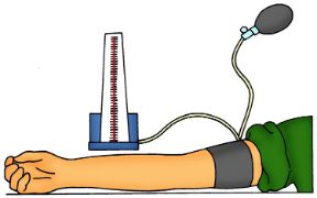 Misurazione della pressione. Come si misura la pressione. Posizionate il manicotto al di sopra della piega del gomito e verificate non vi siano indumenti che stringano il braccio.