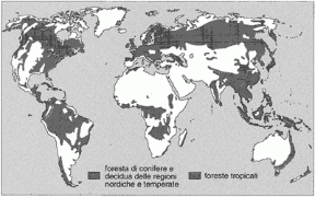 Figura 27.1 La distribuzione delle foreste nel mondo.