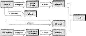 Figura 6.1 SCHEMA DELLE CORRELAZIONI TRA I PRINCIPALI GRUPPI DI COMPOSTI INORGANICI
