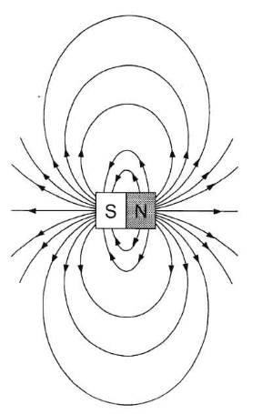 Figura 18.2 Le linee di forza di un campo magnetico creato da un magnete a barra.