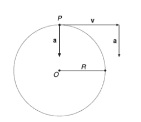 Figura 4.3 Il vettore accelerazione centripeta a (è di uso comune disegnare il vettore accelerazione centripeta applicato al punto P, piuttosto che al vettore velocità).