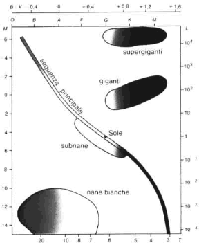 Figura 2.1 Nel diagramma di Hertzsprung-Russell la temperatura superficiale delle stelle è messa in relazione con la loro luminosità. Il diagramma H-R è alla base della teoria dello sviluppo delle stelle, dalla loro formazione alla loro estinzione.