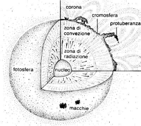 Figura 3.1 Sezione schematica del Sole.