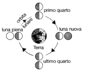 Figura 3.3 Le fasi lunari.