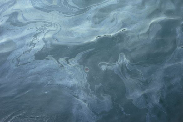 Contaminazione ambientale da petrolio Contaminazione dell’ambiente marino causata dal petrolio.
© De Agostini Picture Library.