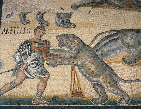 I gladiatori, scena di combattimento su mosaico Civiltà romana, IV secolo d.C. Mosaico raffigurante un combattimento di gladiatori. Da Terranova nei dintoni di Tuscolo (Lazio). Particolare: gladiatore contro una tigre. 