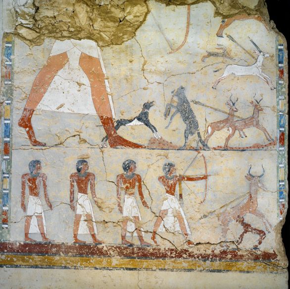  Particolare,affreschi della tomba di Anena Luxor, Sheikh Abd El-Qurna. Particolare degli affreschi della tomba di Anena, sovrintendente del granaio delle proprietà di Amon.
© De Agostini Picture Library.