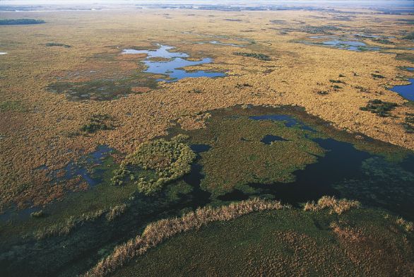 Veduta aerea della laguna di Bayous, nella regione di Laffitte in Louisiana Il territorio della Louisiana è in prevalenza pianeggiante, appena mosso da dolci ondulazioni collinari; la pianura costiera è caratterizzata da vaste paludi, lagune e laghi dove vivono numerosi alligatori.
