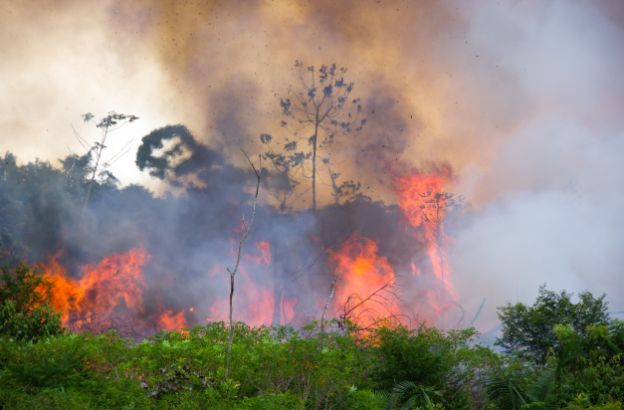 foresta-amazzonica-incendi.jpg