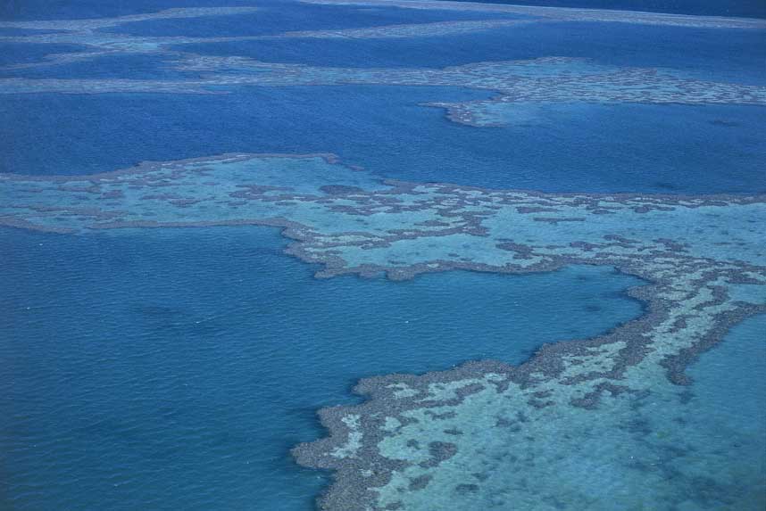 Barriera Corallina, Queensland Veduta aerea della Grande Barriera Corallina nel Queensland, in Australia, simbolo, insieme alle foreste pluviali, di biodiversità.
© De Agostini Picture Library.