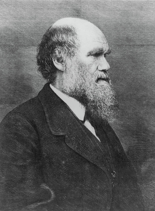 Charles Robert Darwin (1809-1882), naturalista Charles Darwin, nipote del medico e scrittore illuminista Erasmus Darwin, iniziò studi di medicina a Edimburgo e poi di teologia a Cambridge, senza riuscire però a concluderli. Ebbe sempre, infatti, un prevalente interesse per le scienze naturali. 