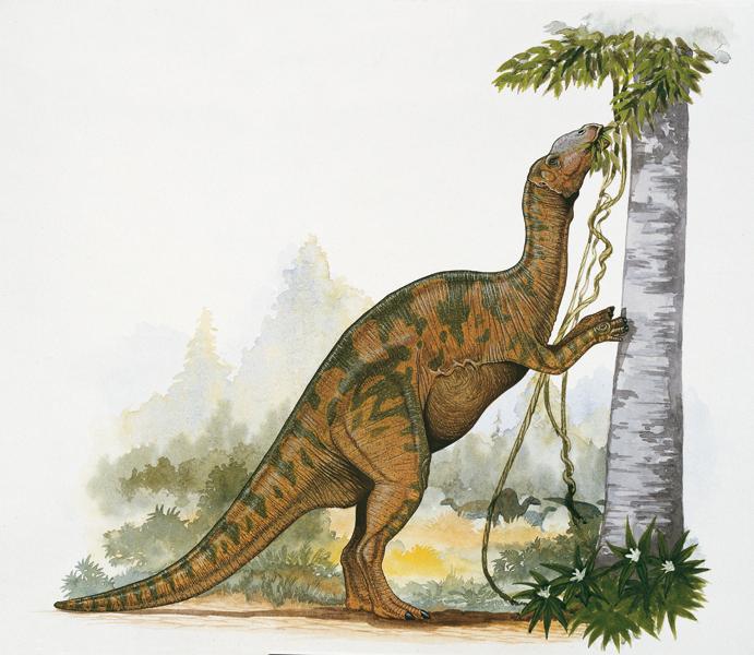 Hadrosaurus Sapere.it