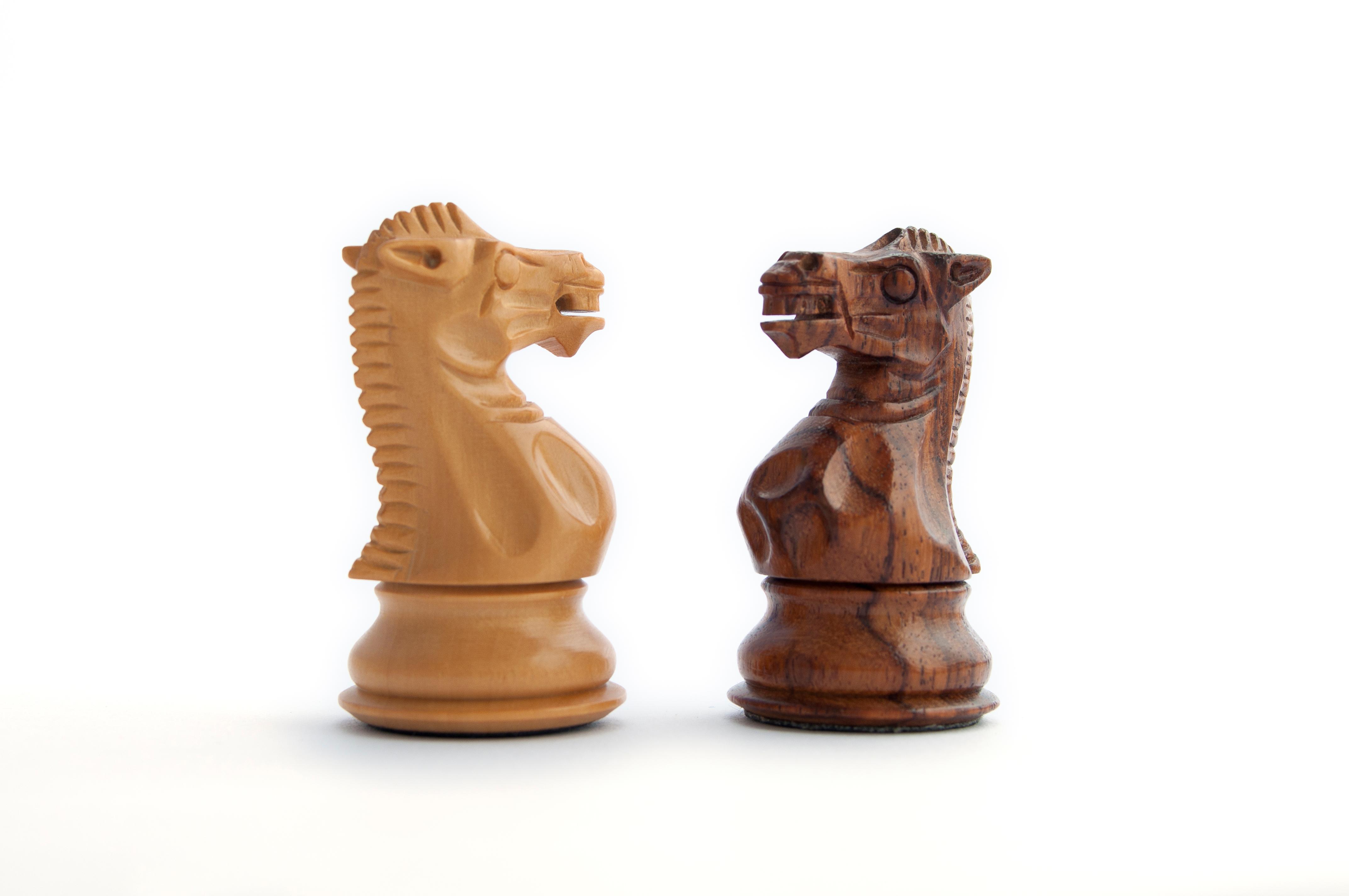2 коня шахматы. Шахматный конь. Лошадь шахматная фигура. Конь шахматы. Фигура коня в шахматах.