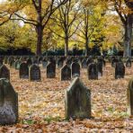 Antologia di Spoon River: un'opera iconica e rivoluzionaria