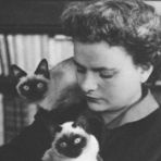 Libri di Elsa Morante: i più belli da leggere