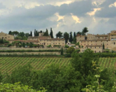 Chianti: la terra del vino