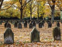 Antologia di Spoon River: un'opera iconica e rivoluzionaria