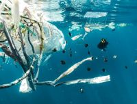Isole di plastica: cosa sono e dove si trovano