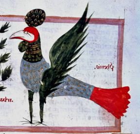 Fenice. Il mitico uccello raffigurato in una miniatura del sec. XIII-XIV (Milano, Bibioteca Ambrosiana).De Agostini Picture Library