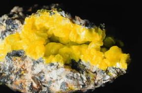 Autunite. Cristalli del minerale.De Agostini Picture Library / C. Bevilacqua