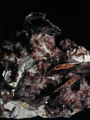 Axinite. Cristalli del minerale.De Agostini Picture Library/C. Bevilacqua