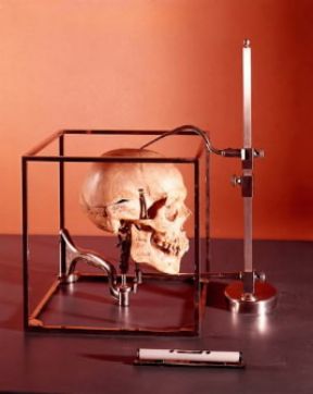 Antropometria. Il craniostato per ottenere l'esatto orientamento tridimensionale del cranio.De Agostini Picture Library/A. Rizzi