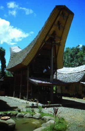 Celebes. Tipica abitazione della popolazione Toraja, con il tetto in paglia.De Agostini Picture Library