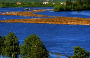 Finlandia. Fluitazione del legname sul fiume Kemi.De Agostini Picture Library/2P