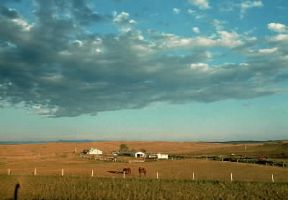 Dakota del Nord. Una fattoria nella sezione orientale dello Stato.De Agostini Picture Library / N. Cirani