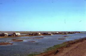 Eufrate. Veduta di un tratto paludoso del fiume presso Nasirya, nell'Iraq meridionale.De Agostini Picture Library