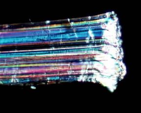 Fibra. Le fibre tessili, suddivise in naturali, artificiali e sintetiche, sono identificabili solo con un esame strumentale: Lino.De Agostini Picture Library/E. Giovenzana