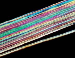 Fibra. Le fibre tessili, suddivise in naturali, artificiali e sintetiche, sono identificabili solo con un esame strumentale: Iuta.De Agostini Picture Library/E. Giovenzana