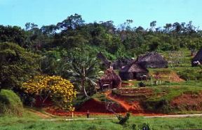 Figi. Un tipico insediamento indigeno.De Agostini Picture Library/2P